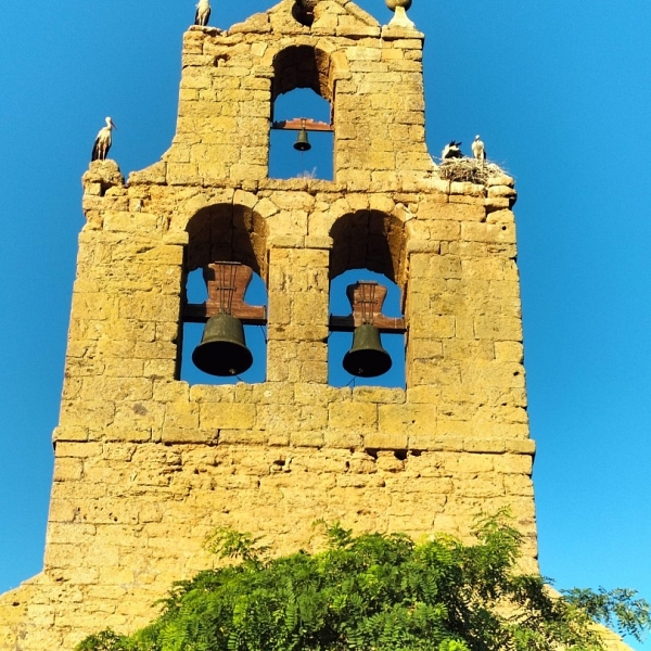 Vega de Villalobos da los primeros pasos para rehabilitar su torre espadaña