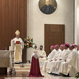 Don Fernando, un peregrino en Roma